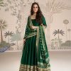 Silk Viscose Embroidered Festival Wear Gown Collection - 2 Pc