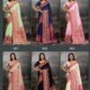 Pashmina Silk Sarees (With Stiched Blouse)